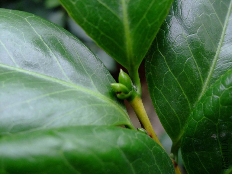 ��Ƭ2011-5-31 01111.jpg