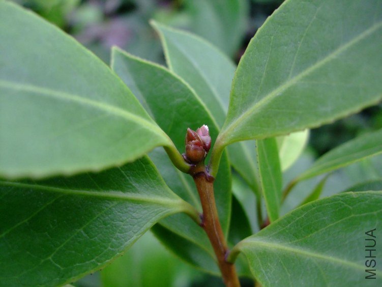 ��Ƭ2011-5-31 0071.jpg