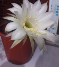QQ��ͼ20120601144959.jpg
