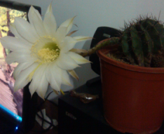 QQ��ͼ20120601144942.jpg