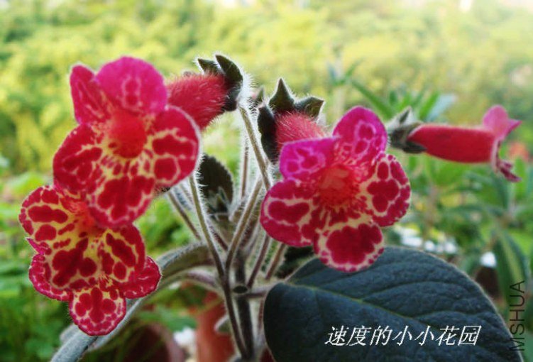 mother  alipstic3.JPG