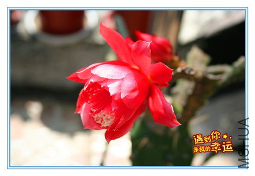 ��Ƭ 091_������1.jpg