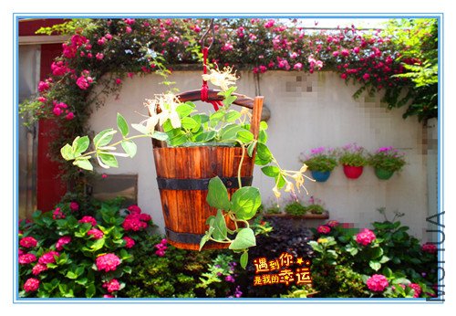 ��Ƭ 060_����ľ.jpg