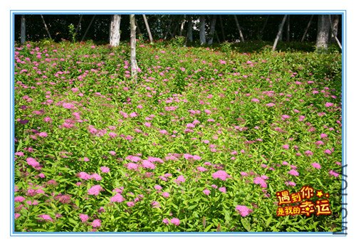 ��Ƭ 113_������1.jpg