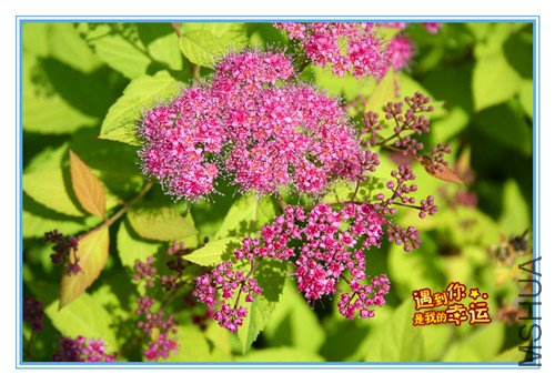 ��Ƭ 116_����2.jpg