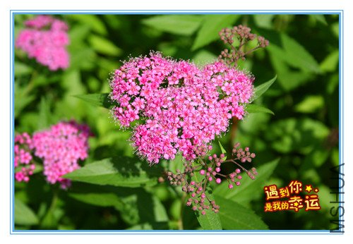 ��Ƭ 117_����3.jpg