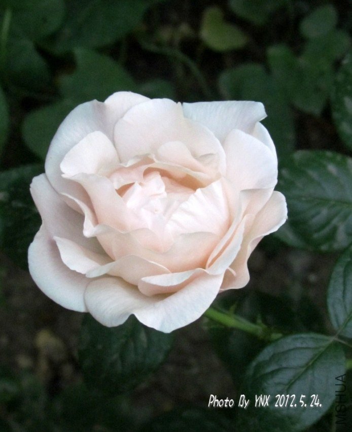 2012.5.24. 069_conew2.jpg