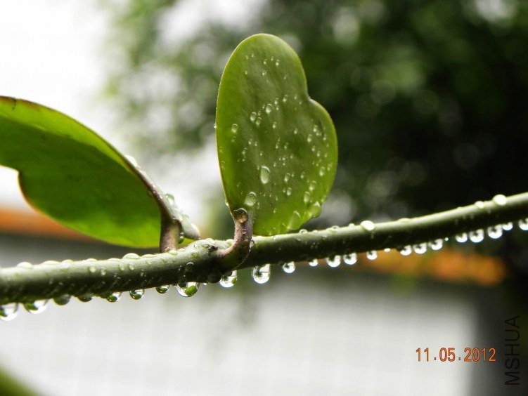 DSCN6902.jpg