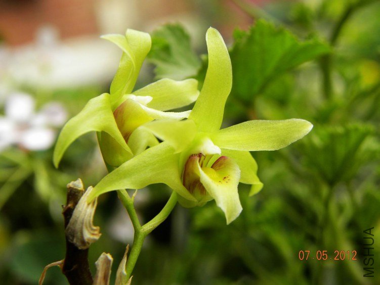 DSCN6882.jpg