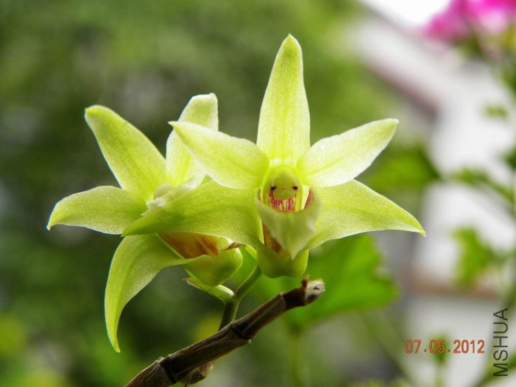 DSCN6885.jpg