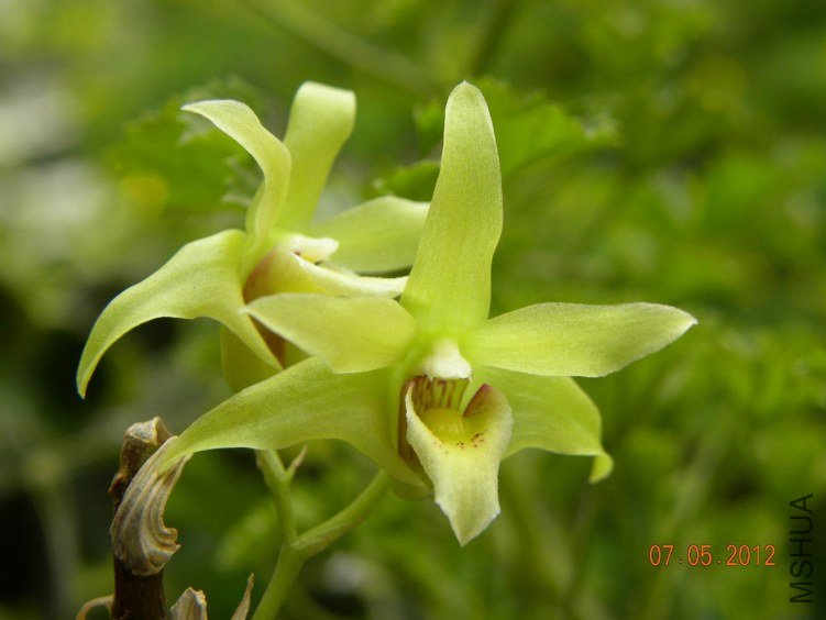 DSCN6886.jpg
