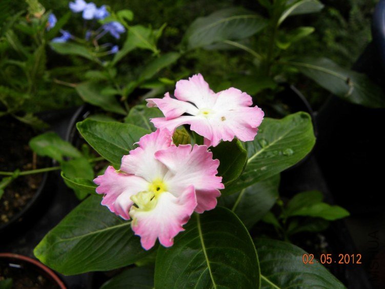 DSCN6853.jpg