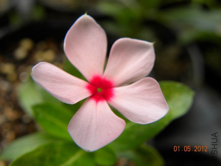 DSCN6845.jpg