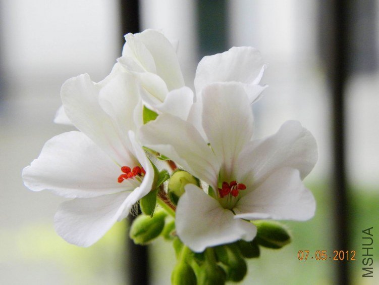DSCN6877.jpg