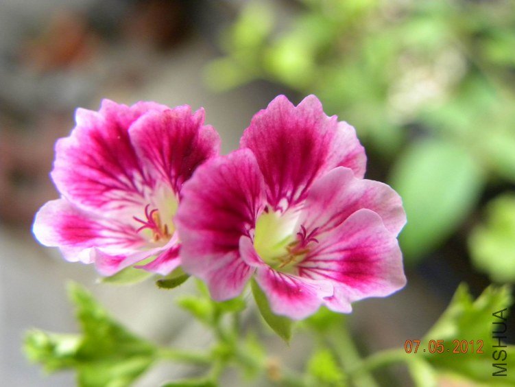 DSCN6879.jpg