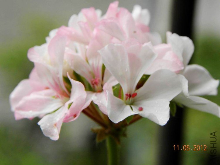 DSCN6906.jpg