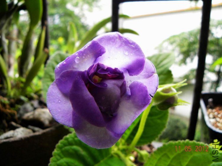 DSCN6907.jpg