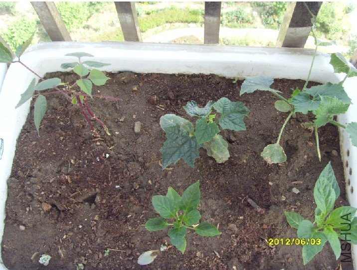 �϶�.jpg