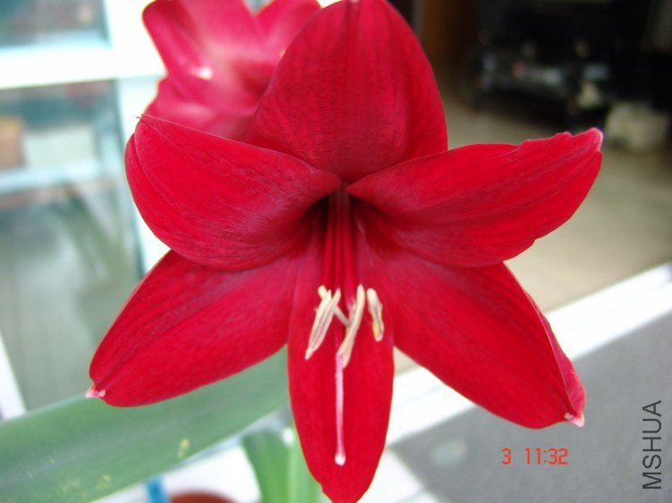 DSC07554.JPG
