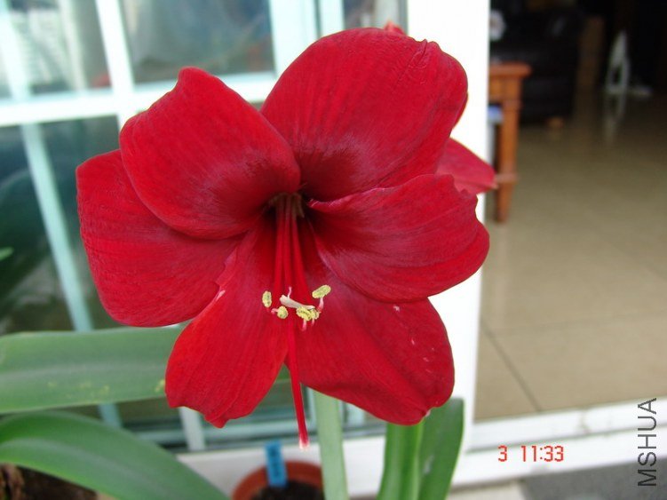 DSC07558.JPG