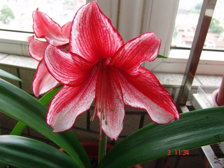 DSC07564.JPG