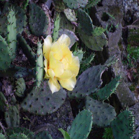 CIMG1252_����.jpg