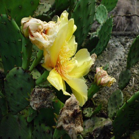 CIMG1248_����.jpg