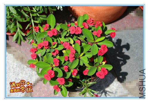 ��Ƭ 015_������.jpg