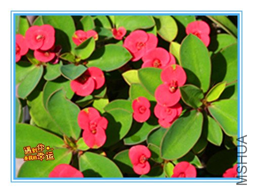 ��Ƭ 015_����2.jpg