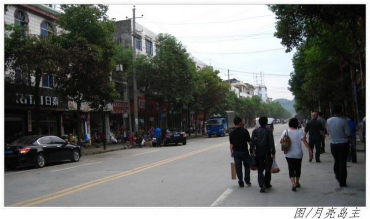 conew_conew_ly (2).jpg