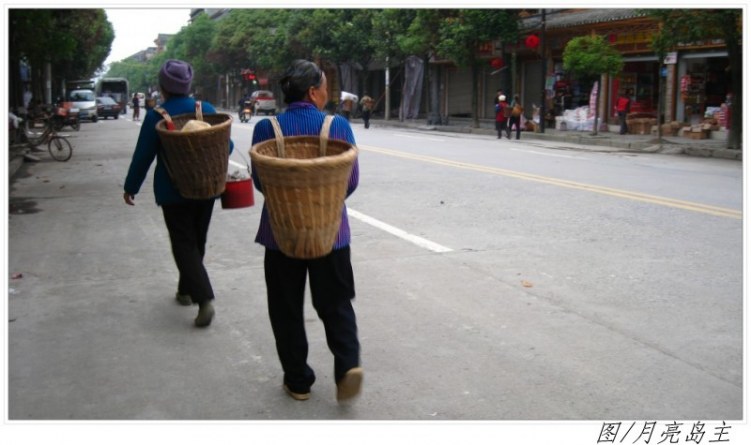 conew_conew_ly (5).jpg