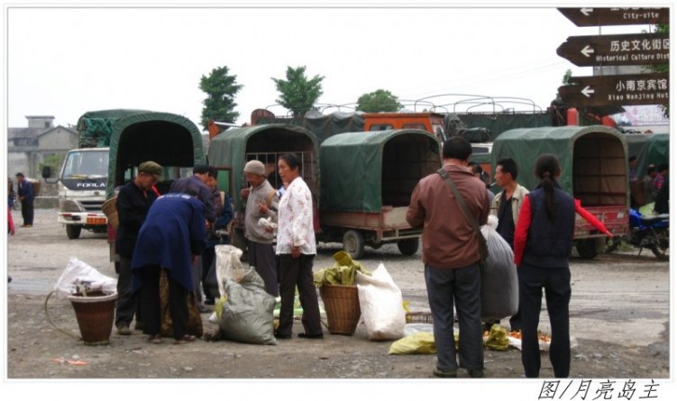 conew_conew_ly (14).jpg