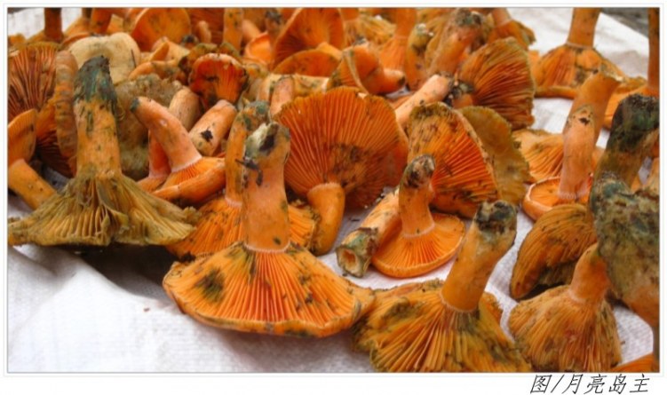 conew_conew_ly (16).jpg