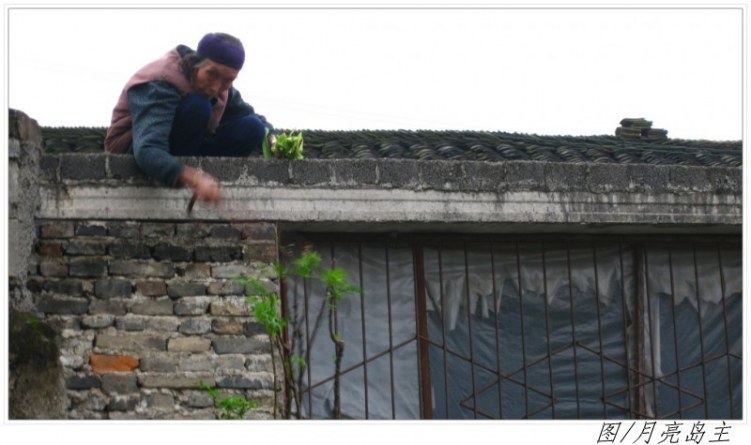 conew_conew_ly (17).jpg