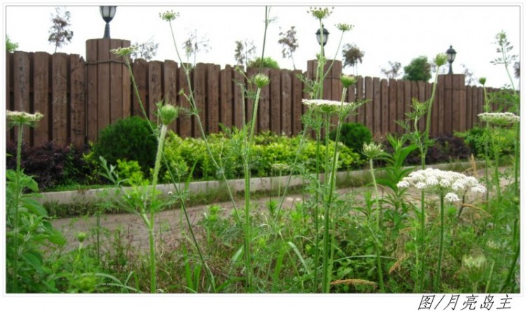 conew_conew_ly (22).jpg