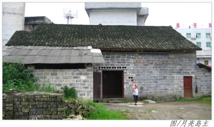 conew_conew_ly (25).jpg