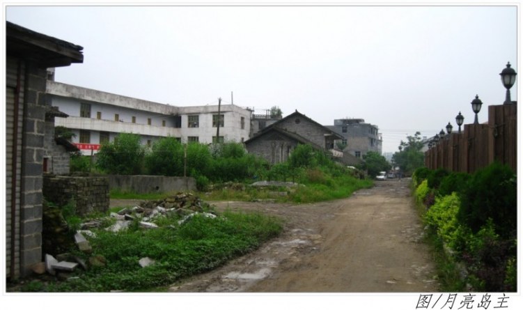 conew_conew_ly (27).jpg