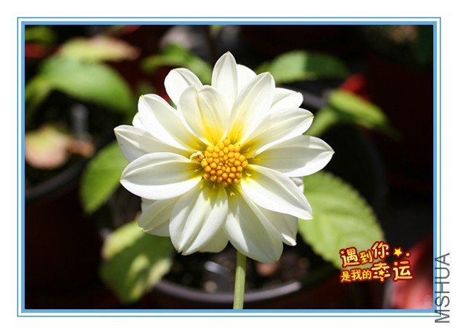 ��Ƭ 028_��������.jpg