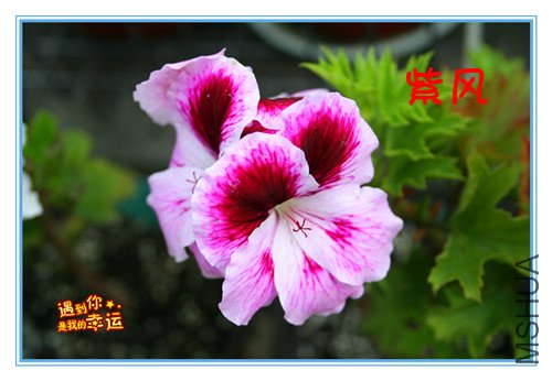 ��Ƭ 116_�����Ϸ�.jpg