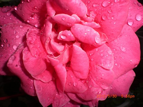 CIMG2309_����.jpg