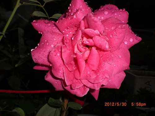 CIMG2311_����.jpg