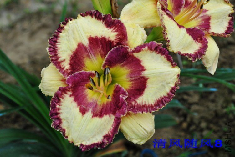 106����Ȧ(HEARON CIRCLE)1.jpg