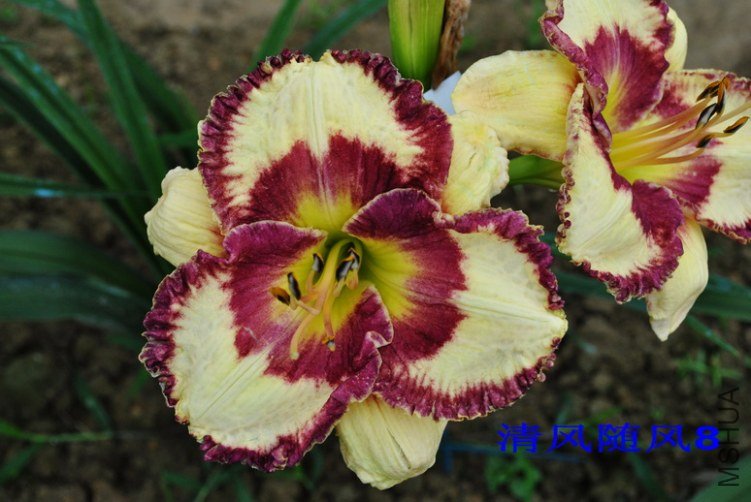 106����Ȧ(HEARON CIRCLE)4.jpg