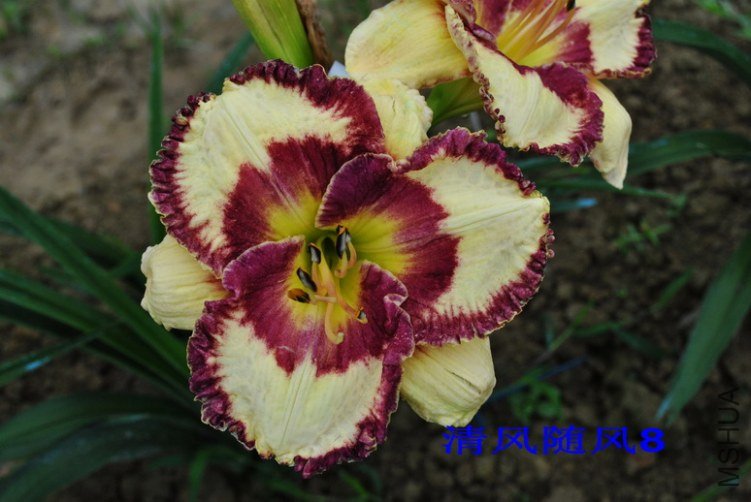 106����Ȧ(HEARON CIRCLE)5.jpg