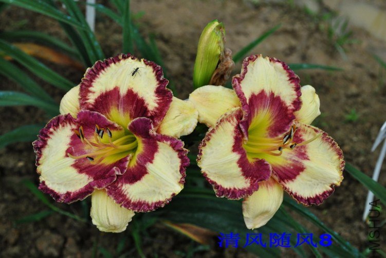 106����Ȧ(HEARON CIRCLE)6.jpg