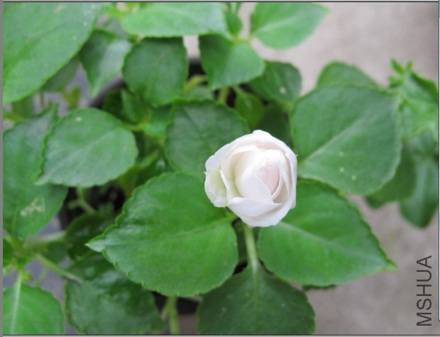 ��ȥ������ķǷ�