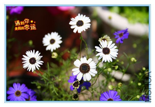 ��Ƭ 015_������.jpg