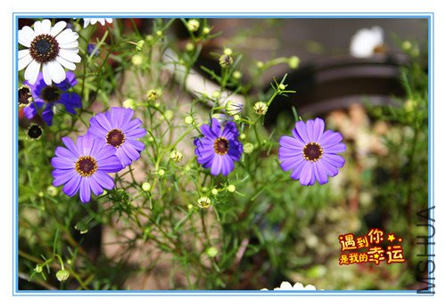 ��Ƭ 016_����.jpg