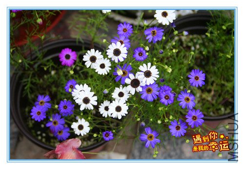 ��Ƭ 016_������.jpg