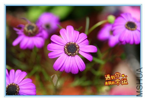 ��Ƭ 018_����.jpg